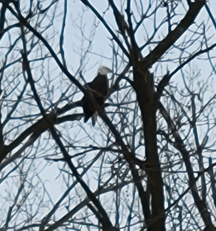 Blackhawk River Runs-Mazomanie必去景点
