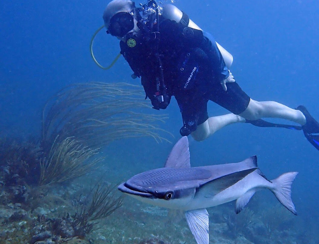Culebra Divers-库莱布拉岛必去景点