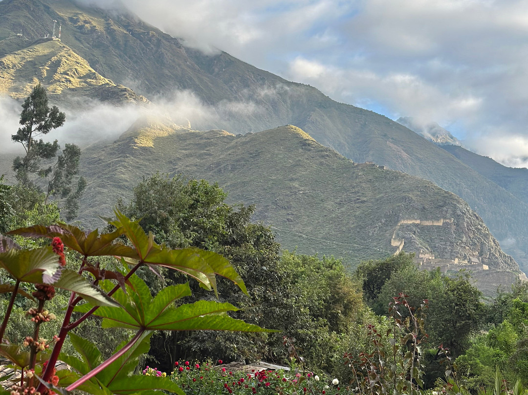 El Albergue Ollantaytambo主图