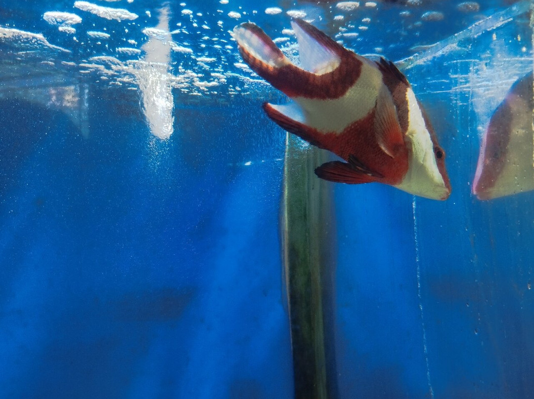 Water World Lanka景点图片