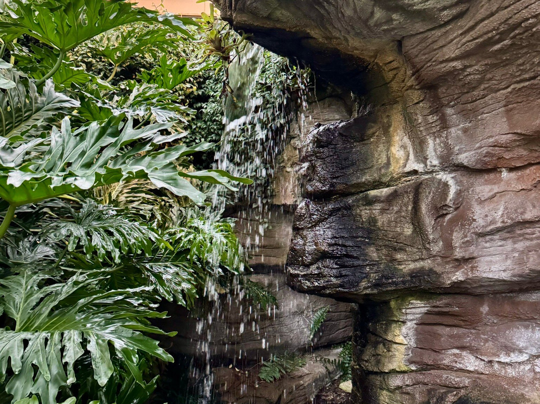 Foellinger-Freimann Botanical Conservatory-韦恩堡必去景点