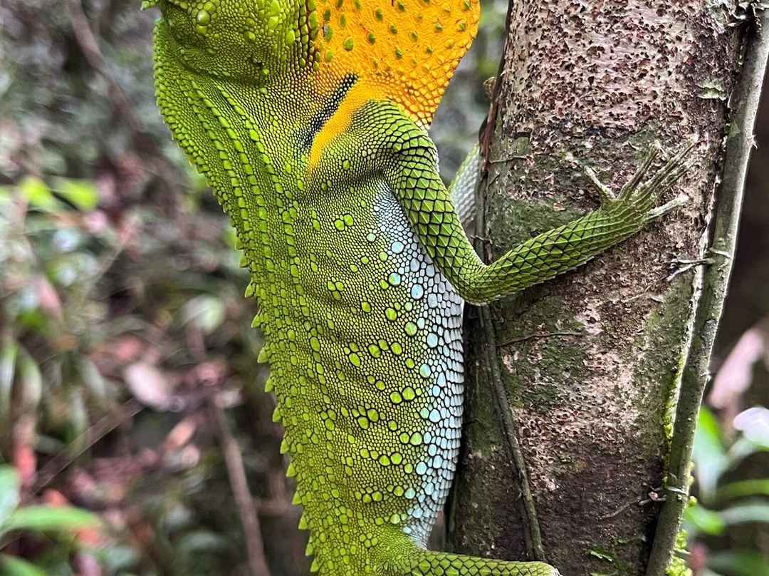 See Sri Lanka Tours景点图片
