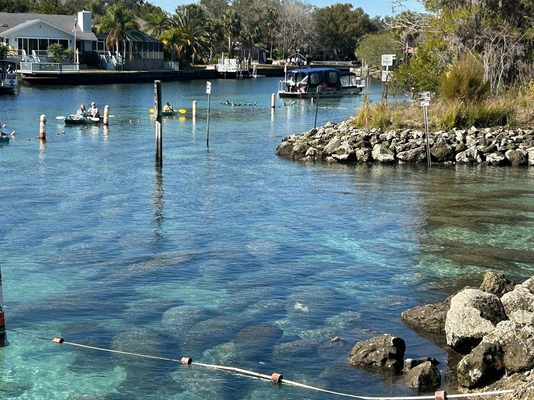Crystal River National Wildlife Refuge-克里斯特尔里弗必去景点