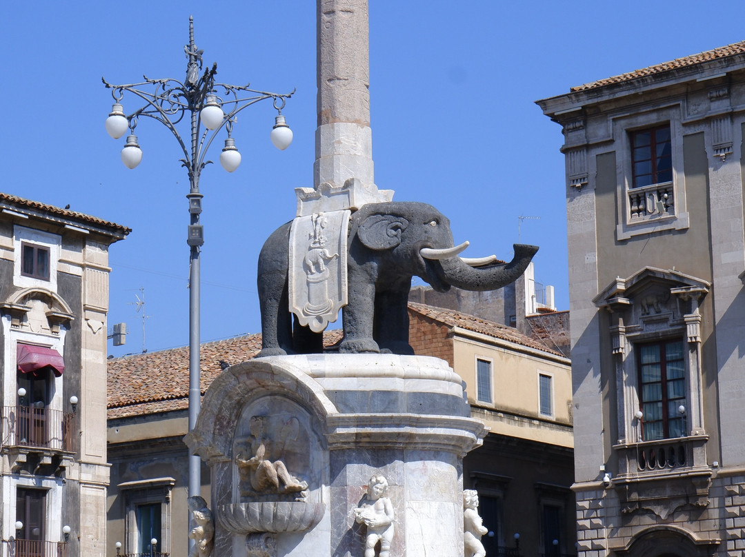 Fontana dell'Elefante景点图片