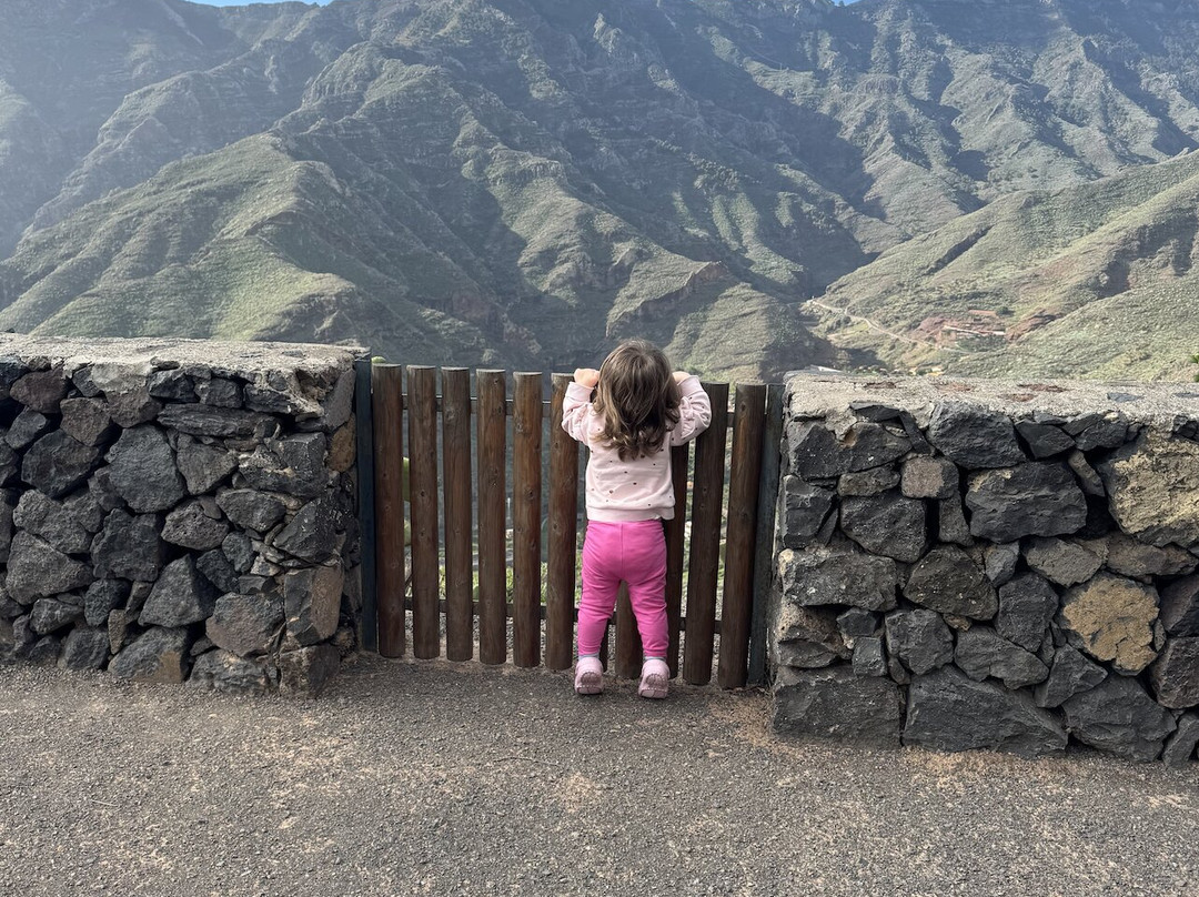 Feel Tenerife-圣克鲁斯-德特内里费必去景点