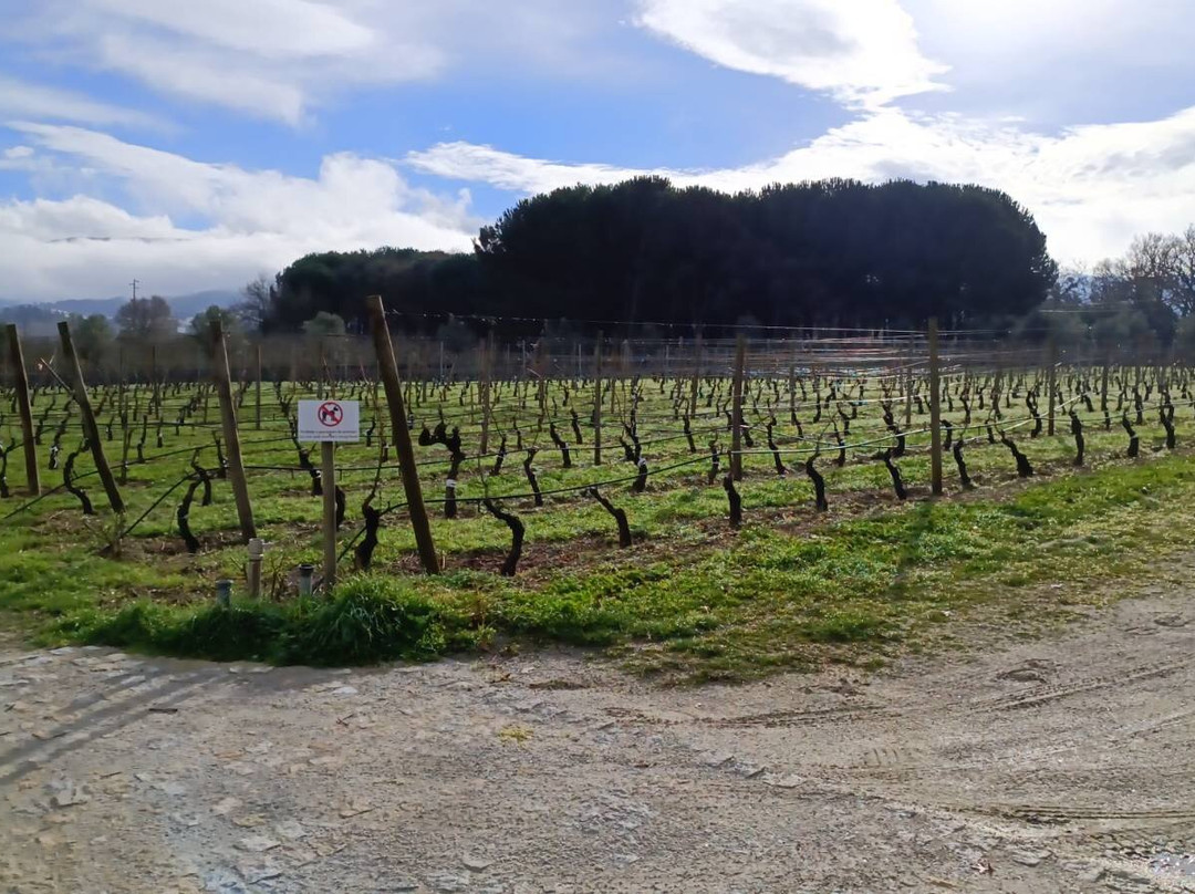 Madre De Agua Hotel Rural de Charme主图