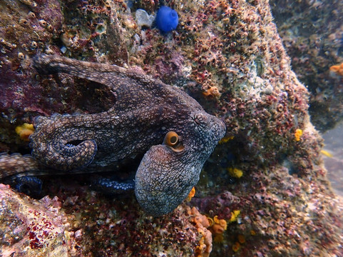 Refined Tours-利比里亚必去景点