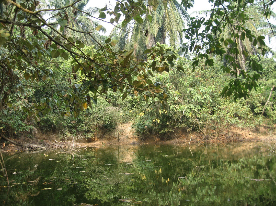 Satchari National Park景点图片