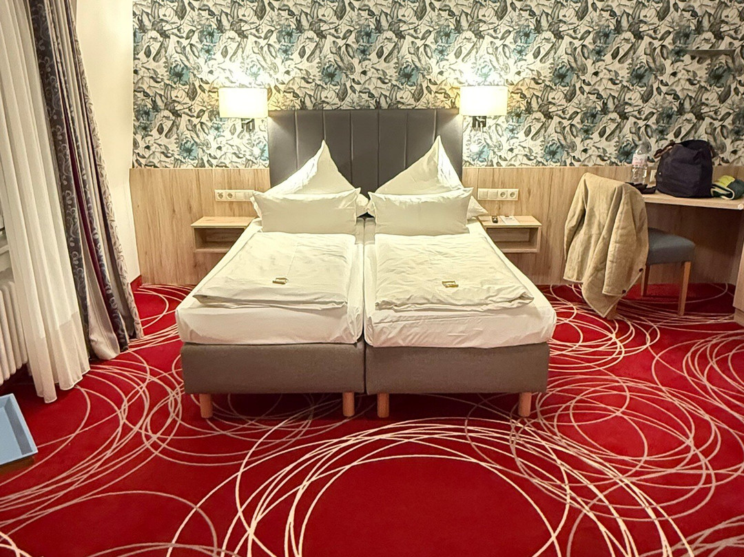 Hotel Loewengarten主图