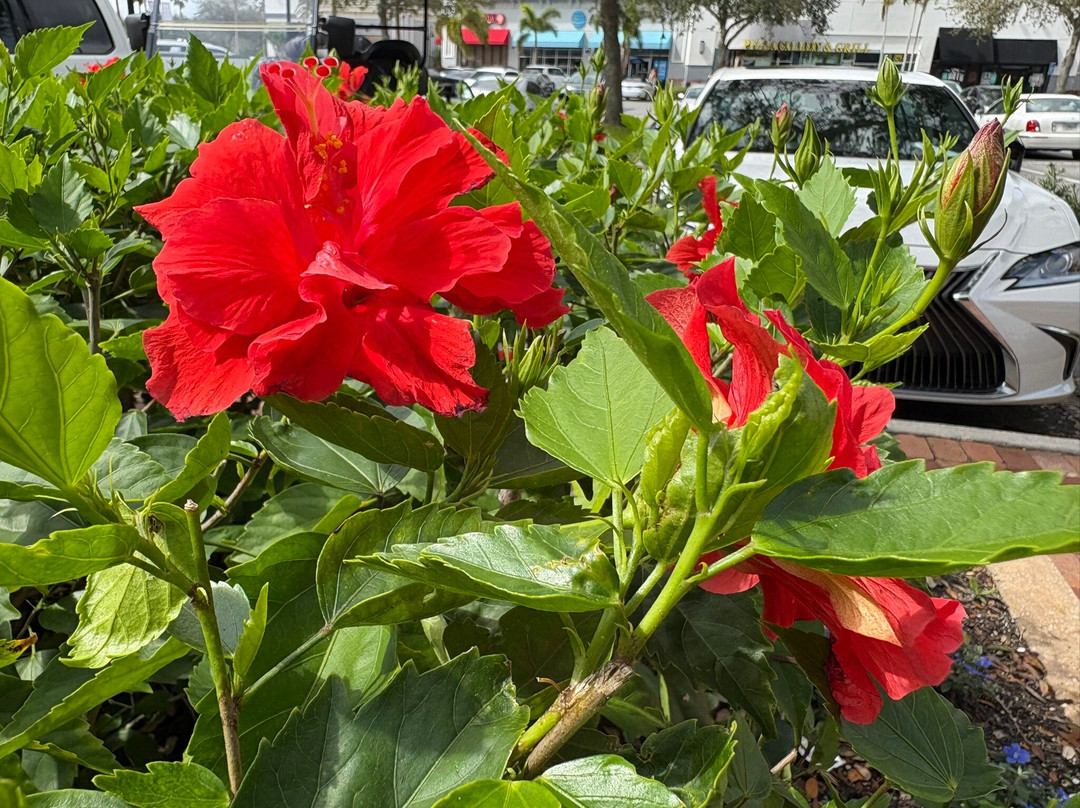 Holiday Inn Express & Suites Palm Bay By IHG主图