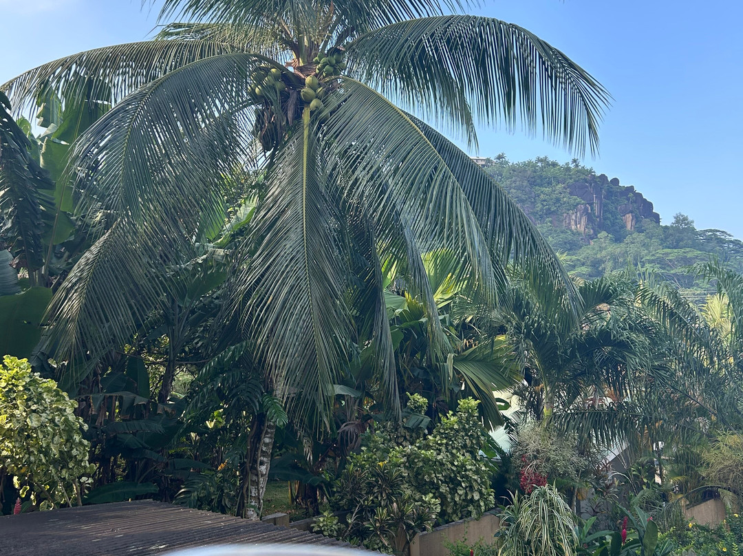 Eden Hills Residence主图