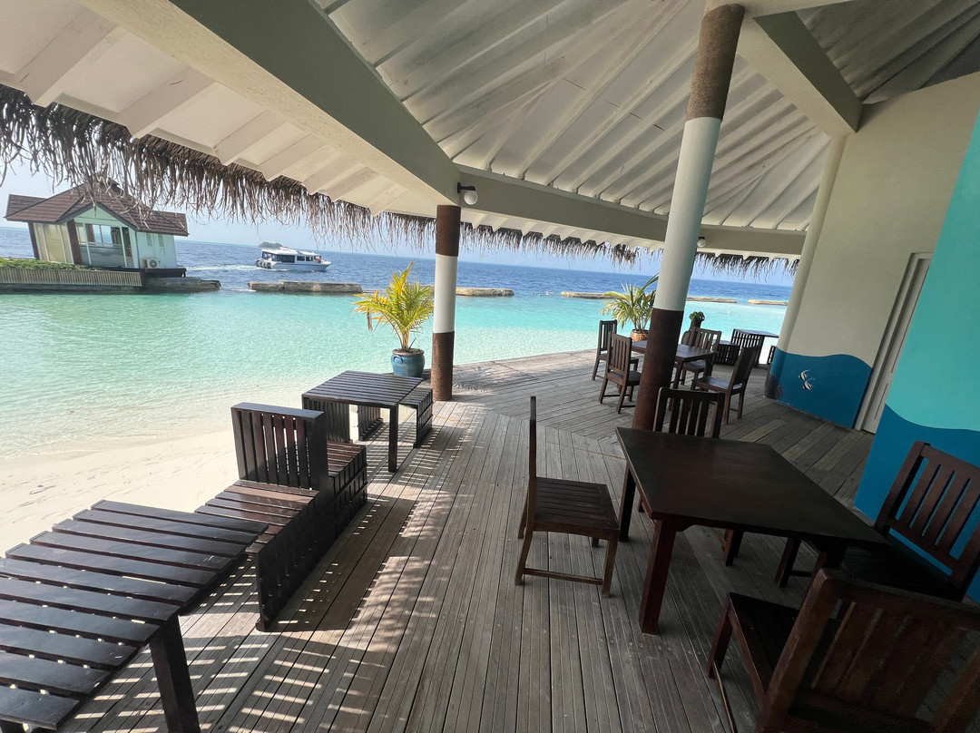 Dive & Sail Ellaidhoo-埃拉胡岛必去景点