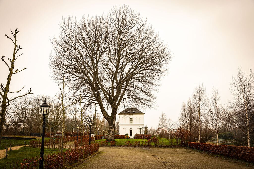 Boutique Hotel De Witte Dame主图