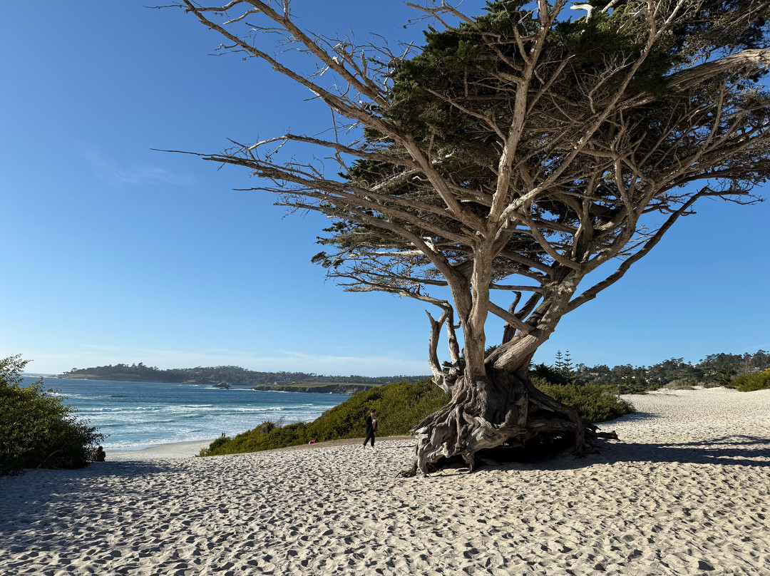Carmel Beach Boardwalk景点图片