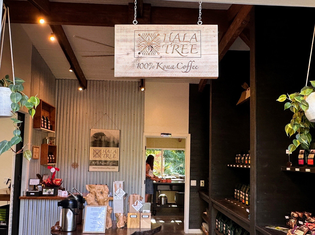 Hala Tree Coffee-库克船长必去景点