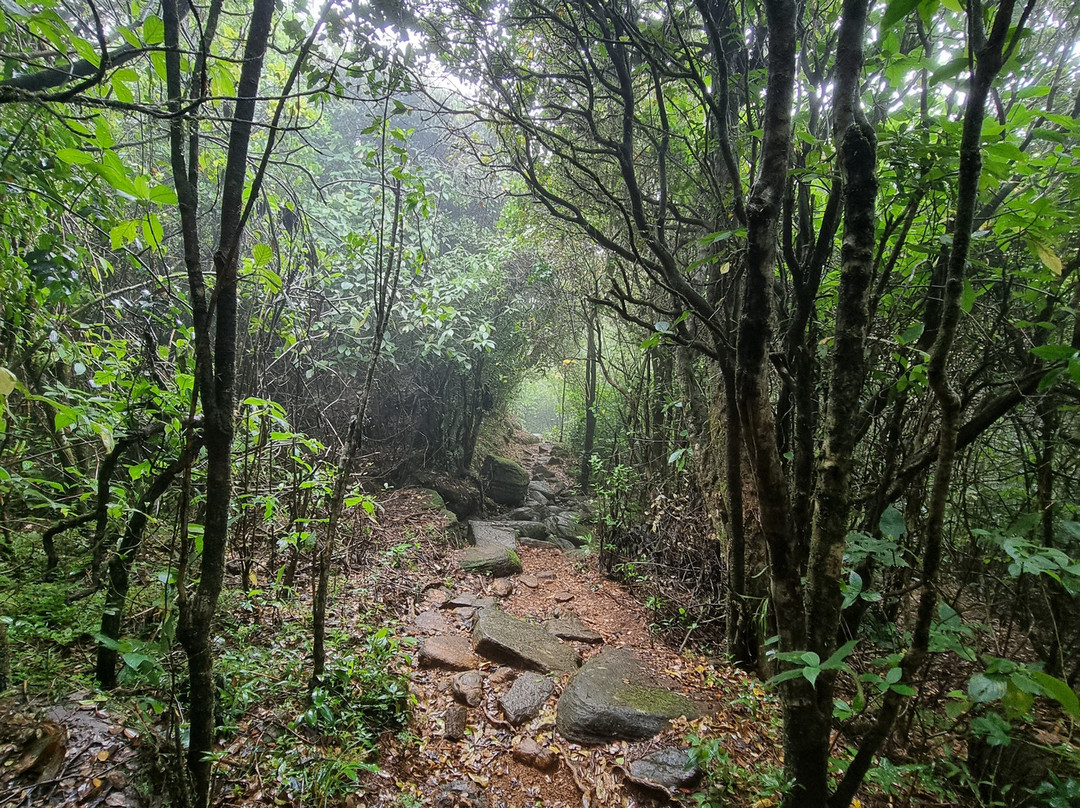 Kandy Trekking Tours景点图片