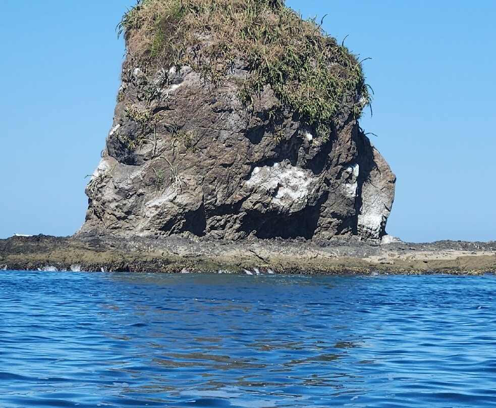 Deep Blue Diving Adventures-Playas del Coco必去景点