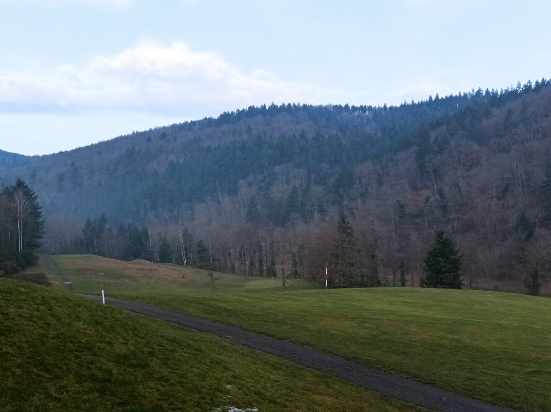 Residence Goelia Le Domaine Du Golf主图