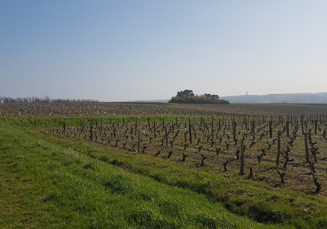 Domaine Sauvète景点图片