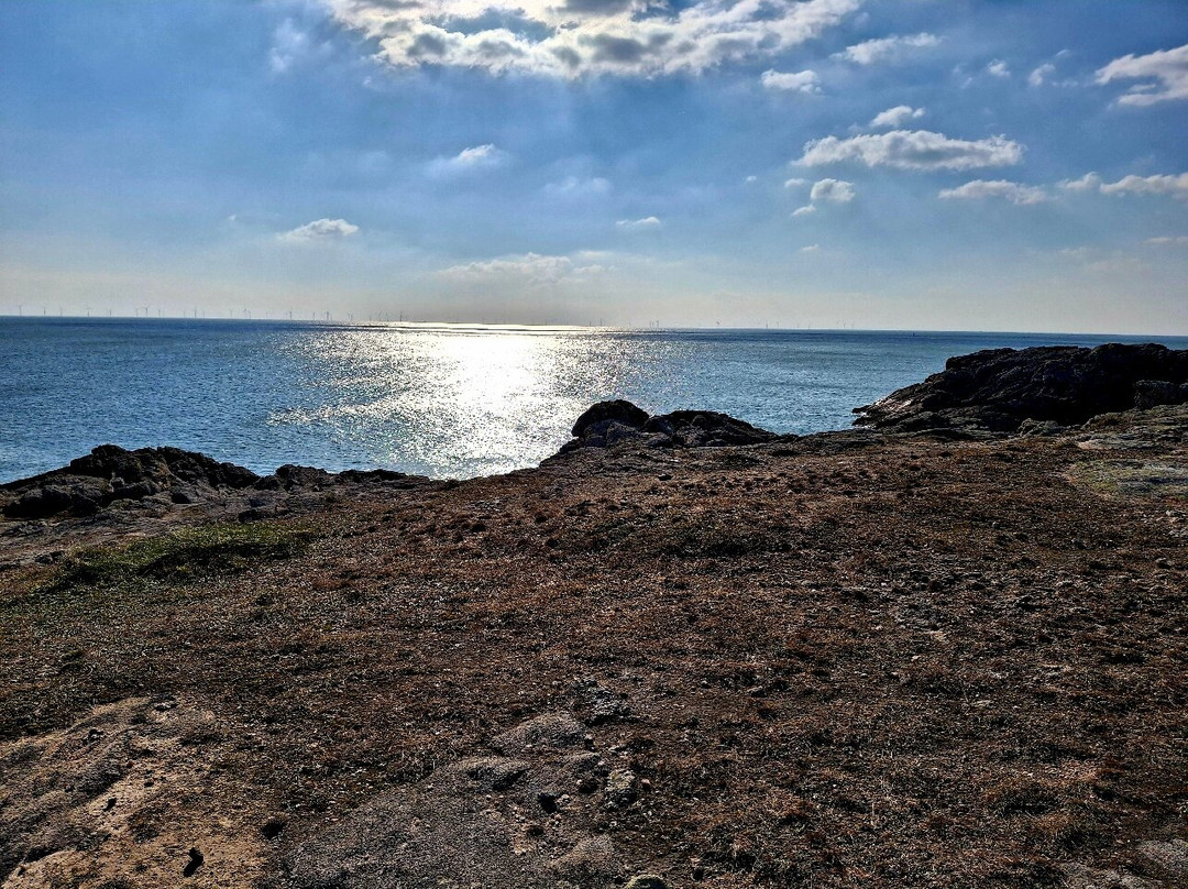 La Cote Sauvage du Croisic景点图片