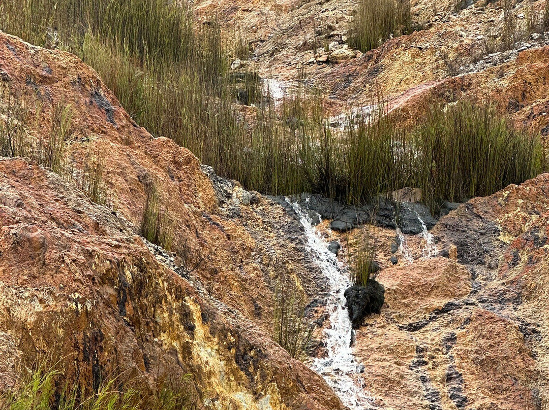 Eric Thomas Galley Museum-皇后镇必去景点