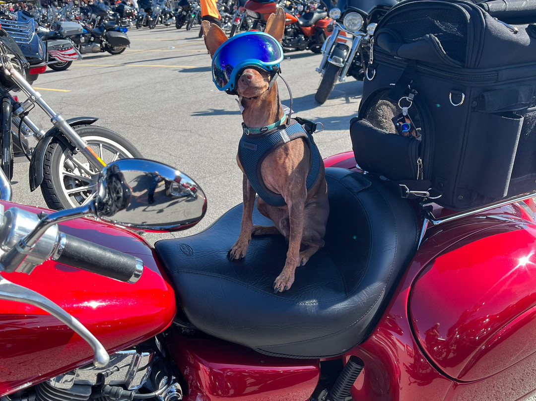 Super 8 by Wyndham Fort Chiswell Wytheville Area主图