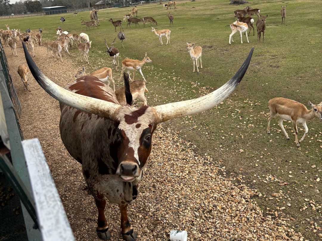Global Wildlife Center-Folsom必去景点