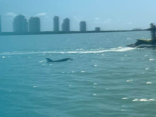 Holiday Water Sports-迈尔斯堡海滩必去景点