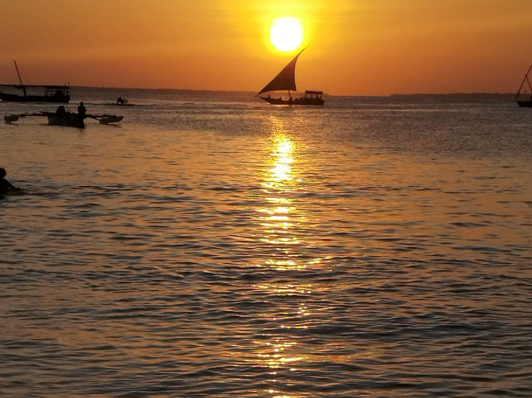Kiwengwa zanzibar-基万嘎必去景点