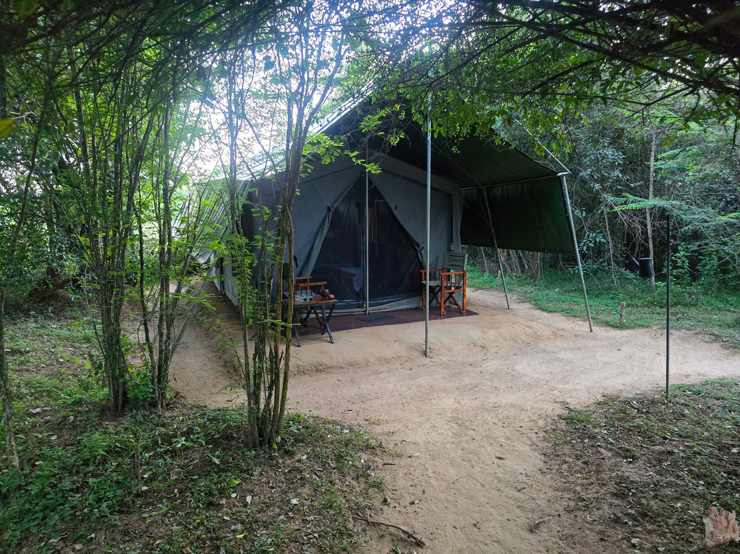 Mahoora Tented Safari Camp Udawalawe主图