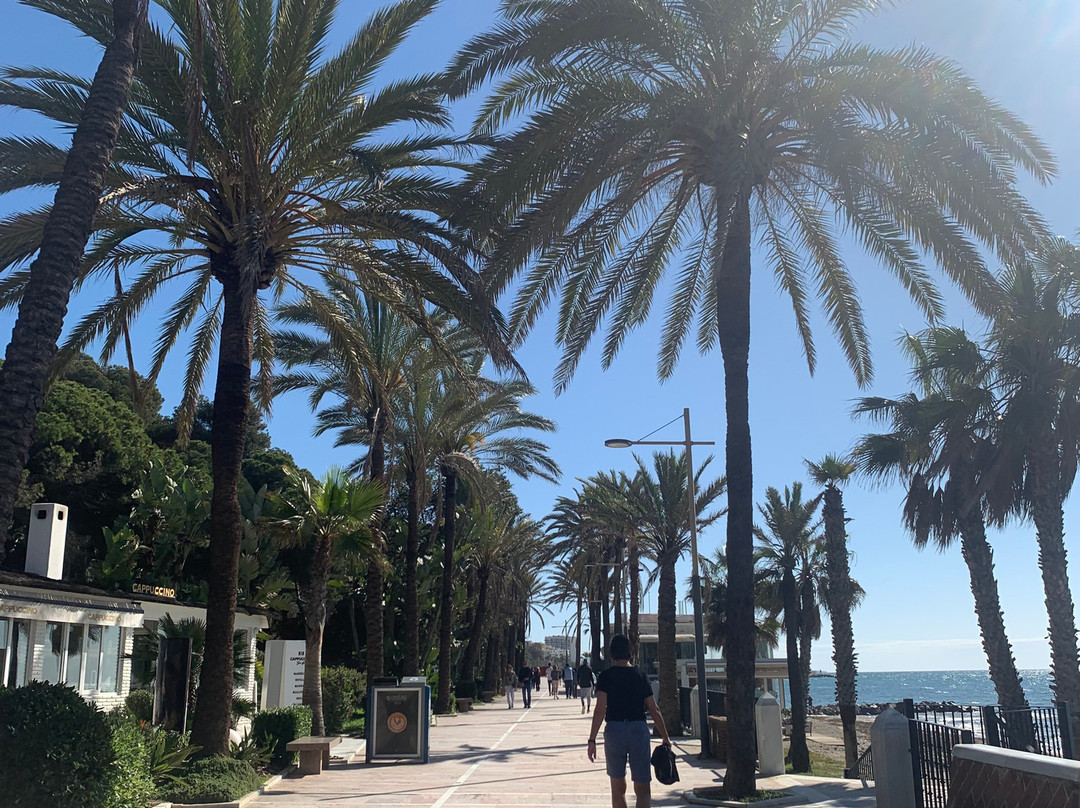 Playa de la Fontanilla景点图片
