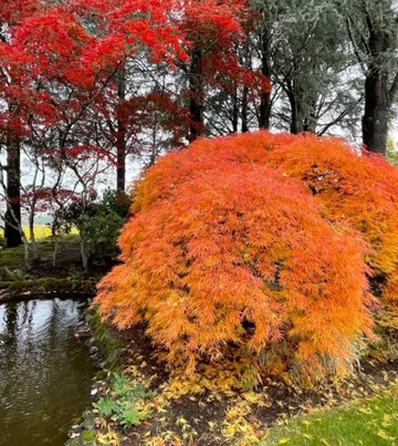 Quailhurst Vineyard Estate-Sherwood必去景点