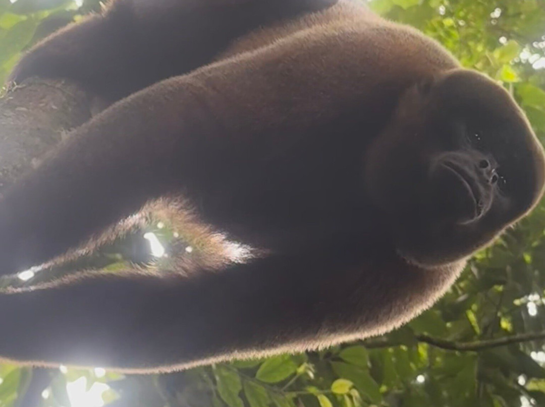 Raft Amazonia-Tena必去景点