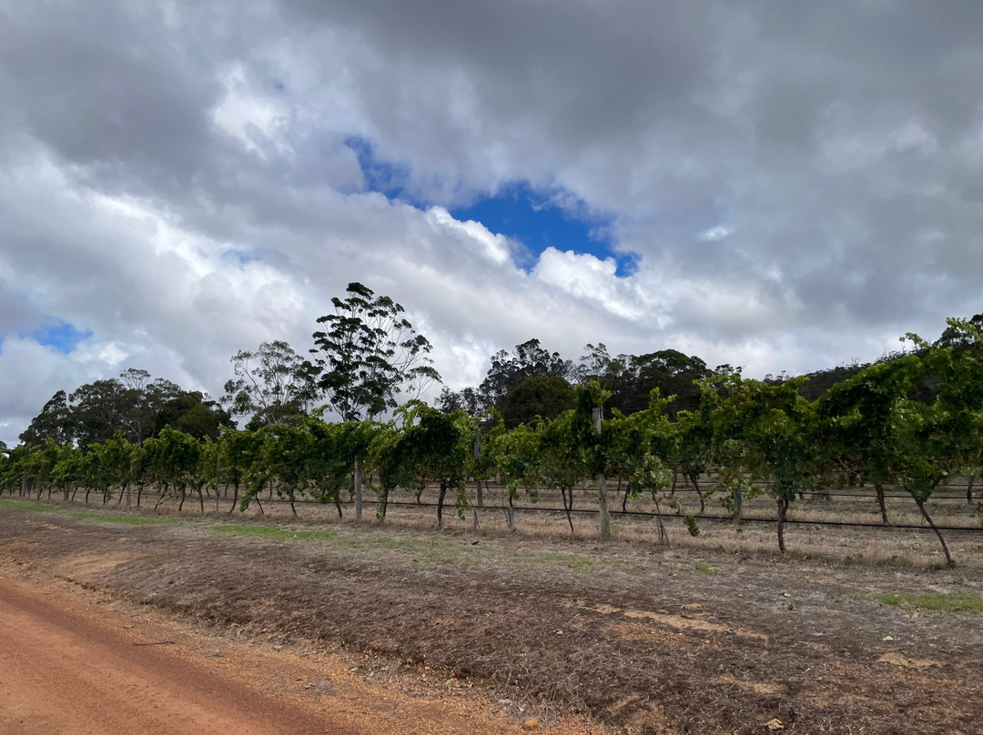 Castle Rock Estate-Porongurup必去景点