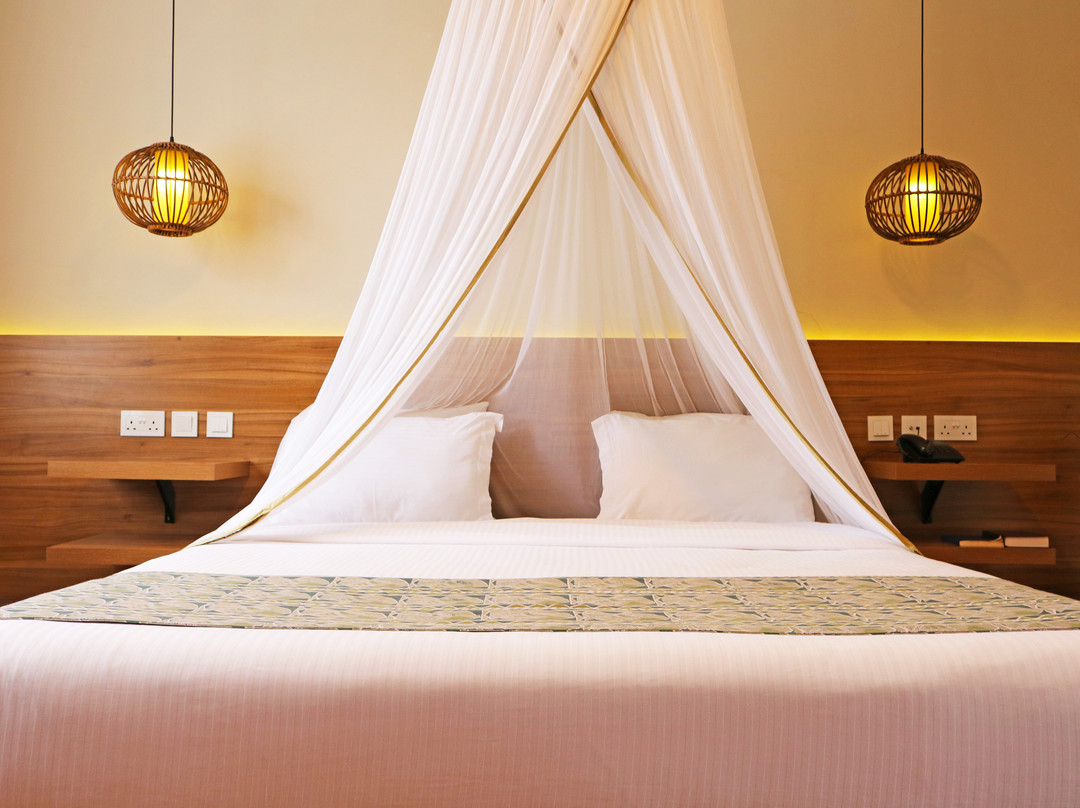 Maanzoni Lodge主图