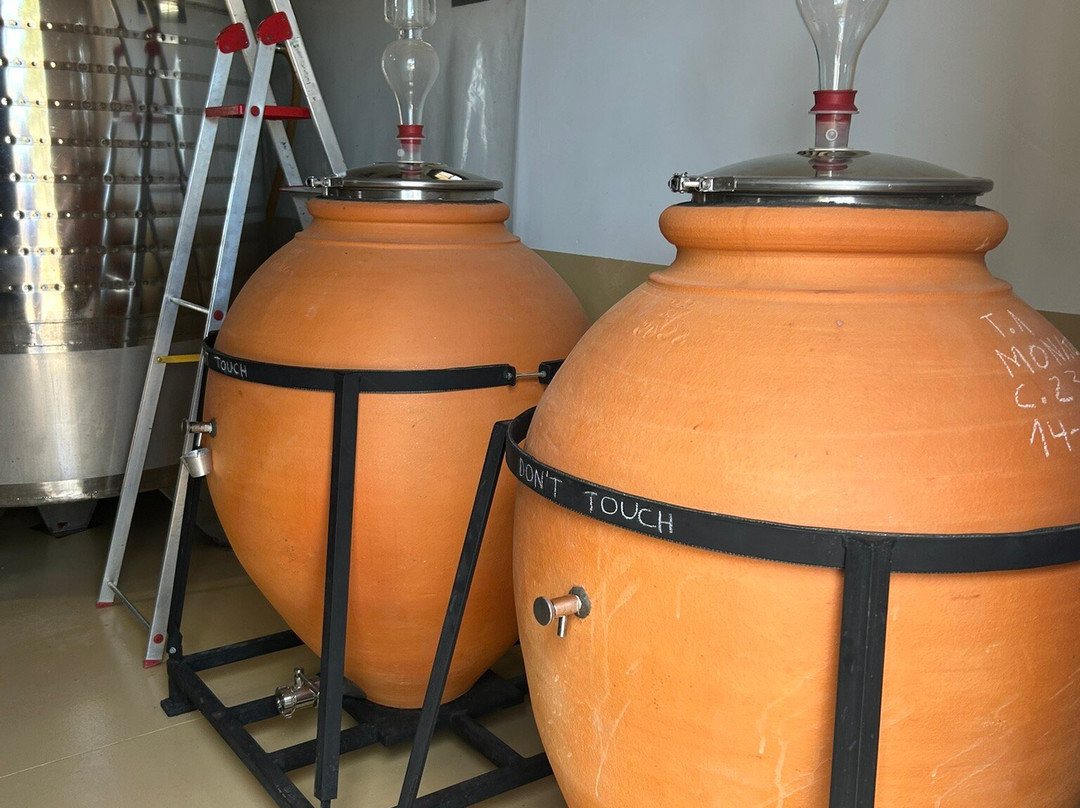 Bodegas Faelo景点图片