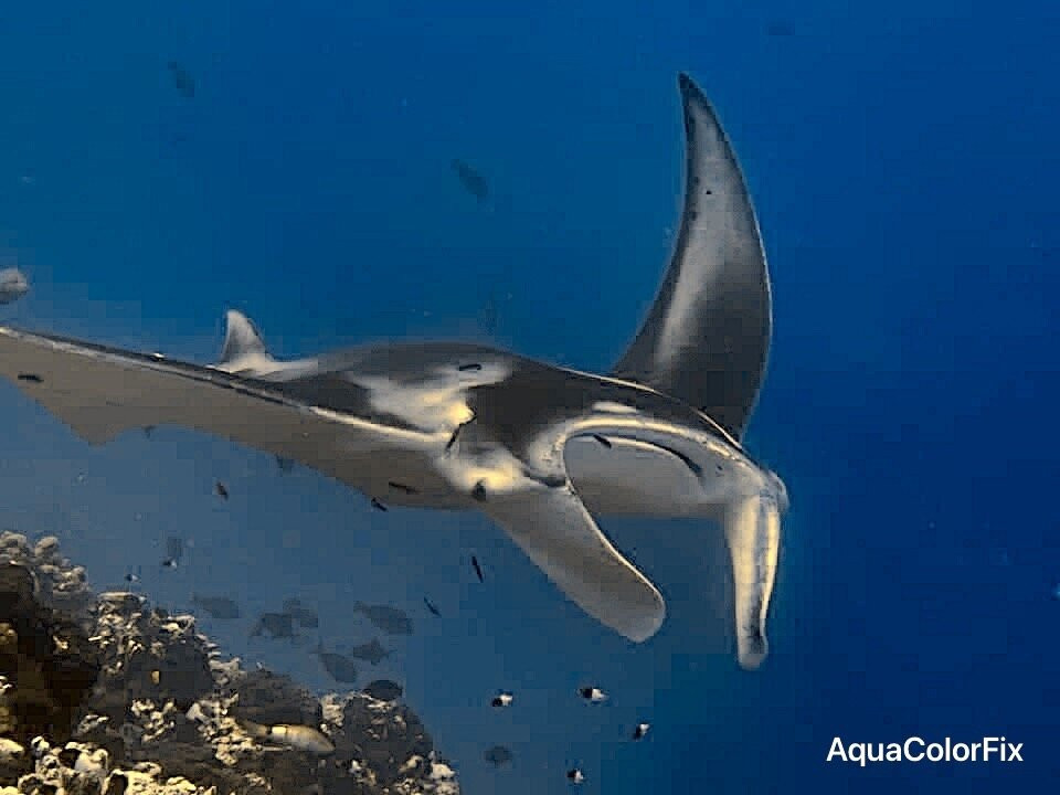 KoriKori Lodge Fakarava主图