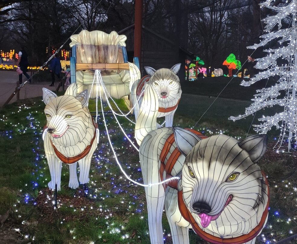 Beekse Bergen - Light Safari景点图片