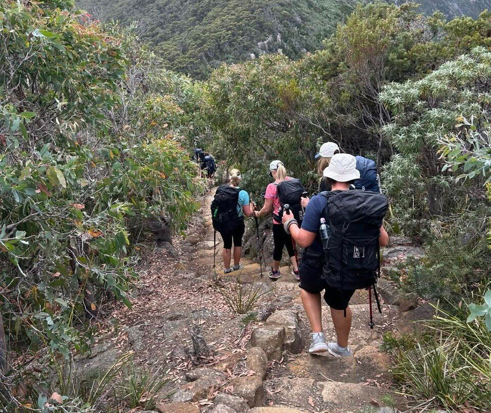Three Capes Signature Walk by Tasmanian Walking Company景点图片