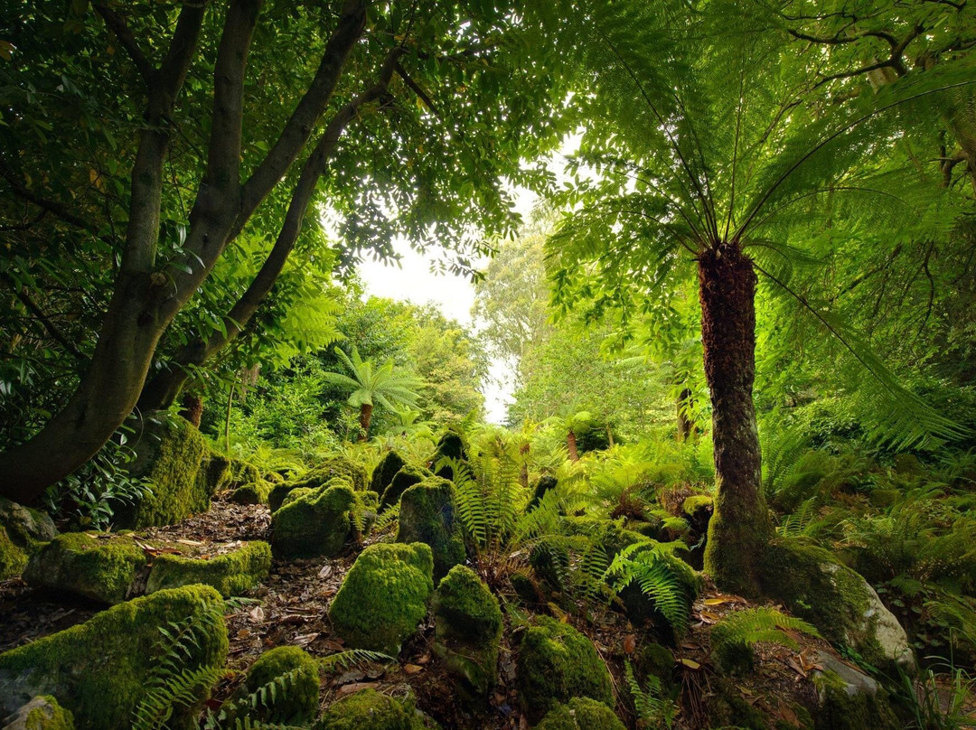 Fota House & Gardens-Fota Island必去景点