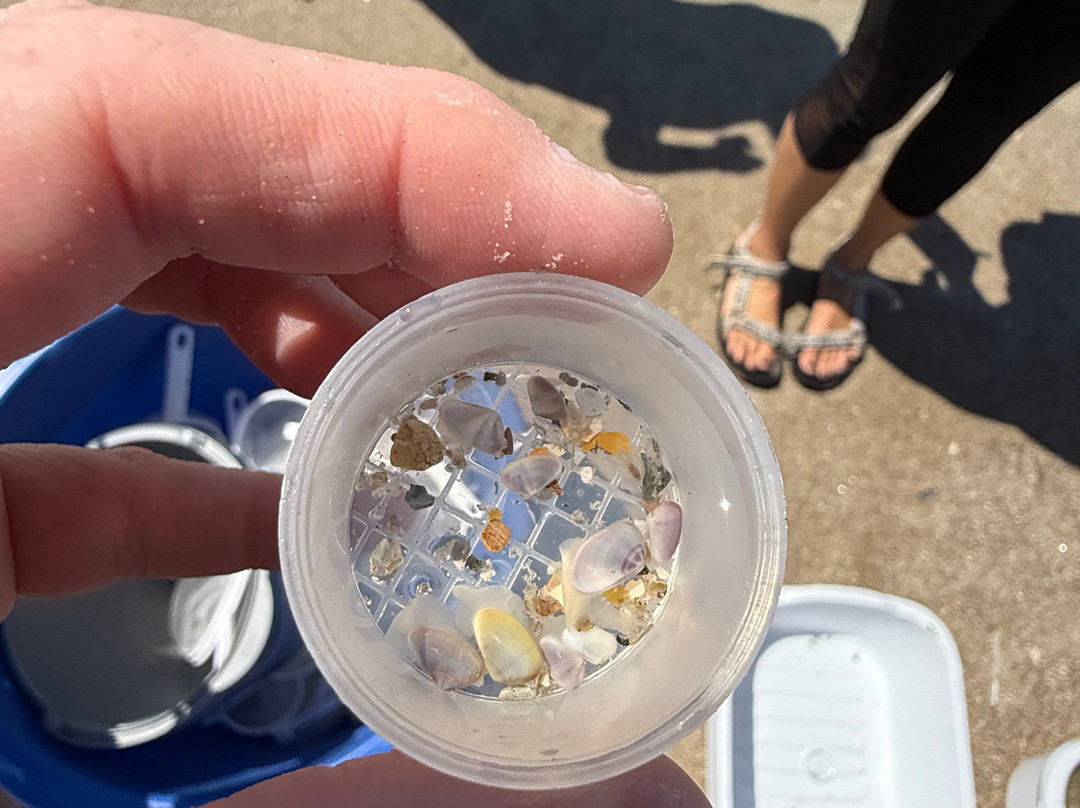 Tybee Island Marine Science Center-泰碧岛必去景点