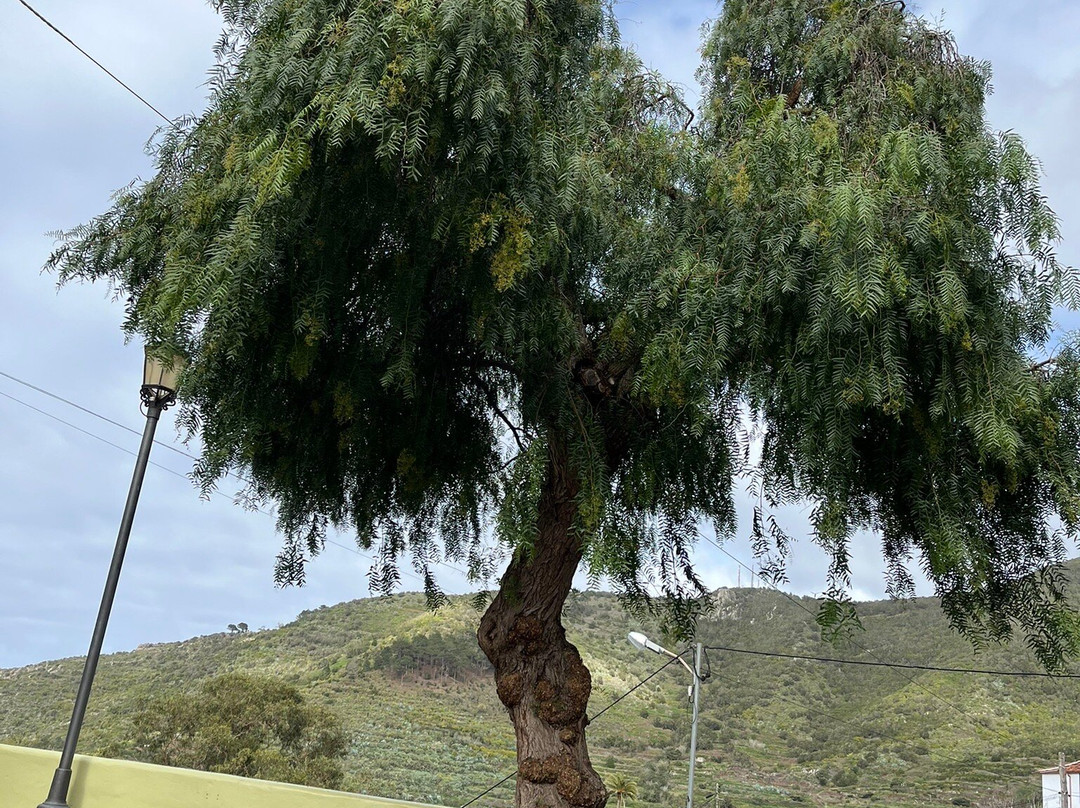 Finca La Hacienda Rural Hotel主图
