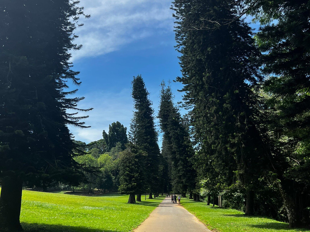 Macaw Holidays-科伦坡必去景点