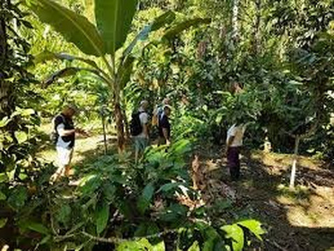 Tangawizi Cooking Class-Regezo Mwendo必去景点