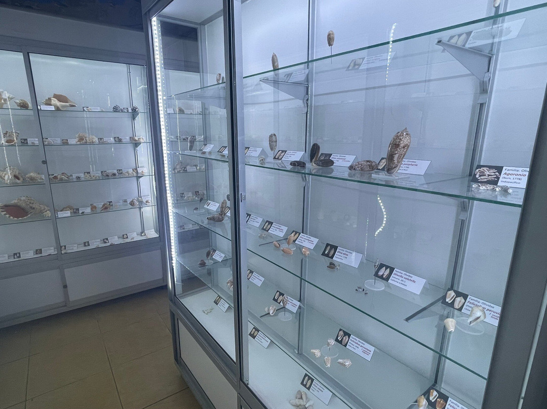 Sea Museum-阿里卡必去景点