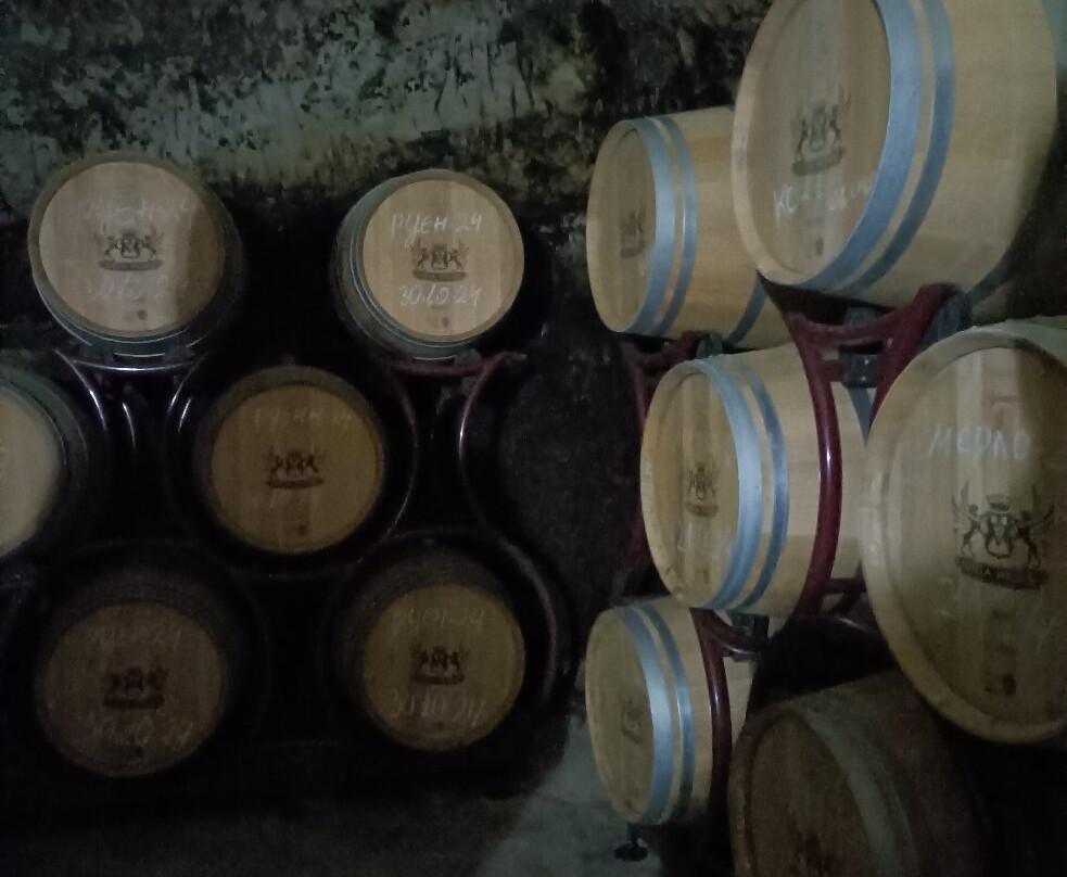 Villa Melnik Winery景点图片
