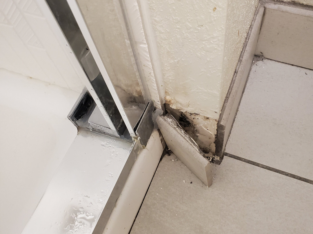 Staybridge Suites Peoria-downtown By IHG主图