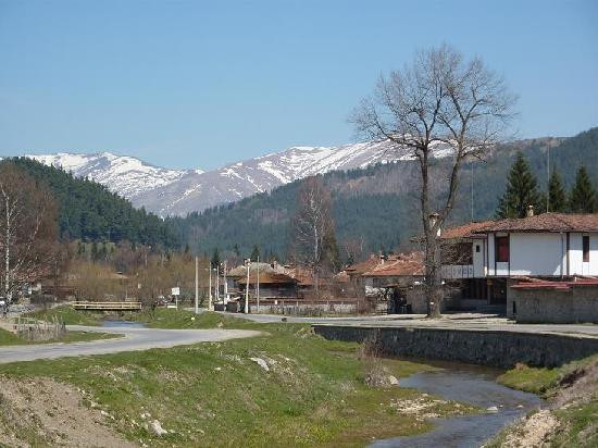 Family Hotel Panorama主图