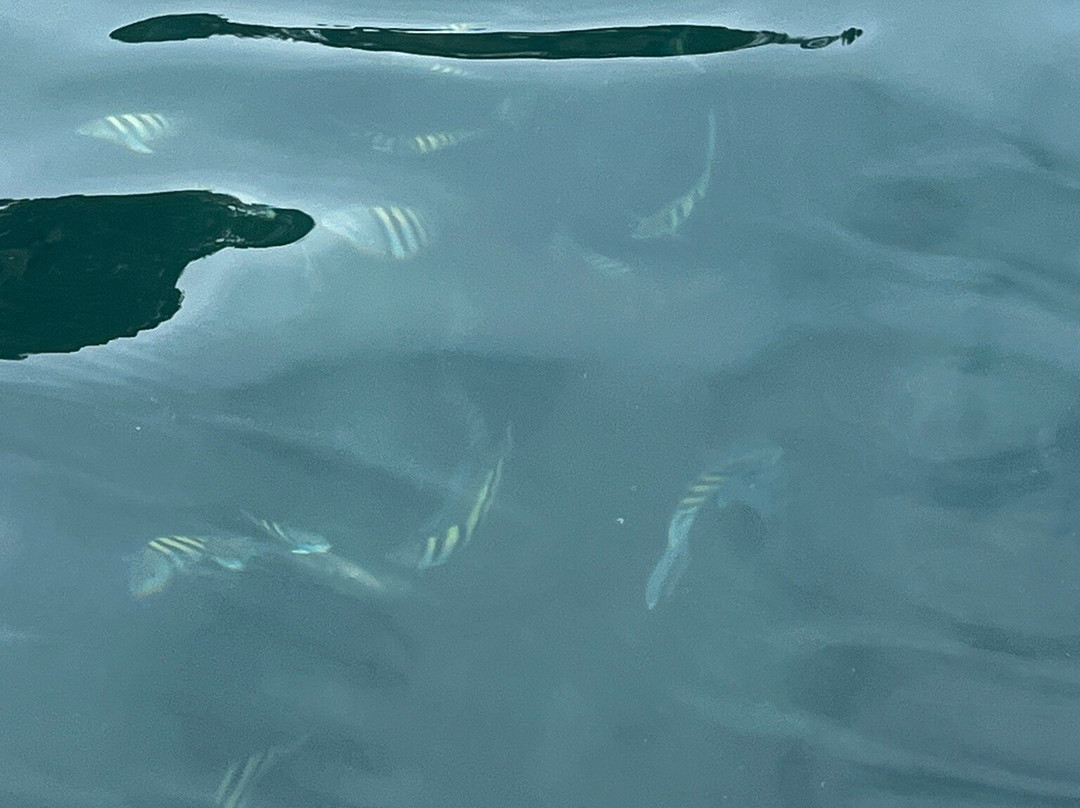 Mar Azul Turismo-乌巴图巴必去景点