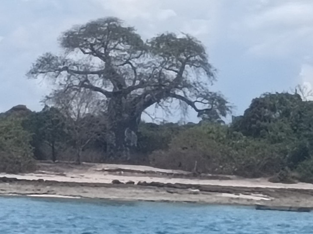 Meki Tourguide Matemwe-Matemwe必去景点